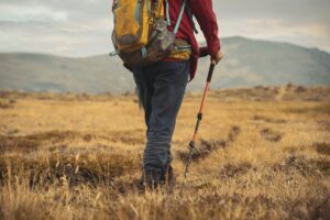 Nordic Walking